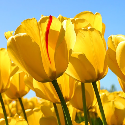 Julie Lockhart Photo 43