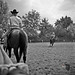 Laura Wester Photo 23