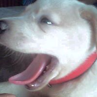 Frederick Rodgers Photo 25