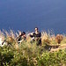 Maria Gargiulo Photo 6