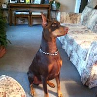 William Keyes Photo 23