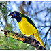 Edgar Sharp Photo 11