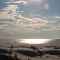 Nancy Henninger Photo 4