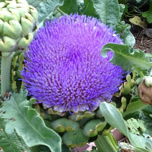 Shelley Hughes Photo 41 Shelley Hughes Photo 41