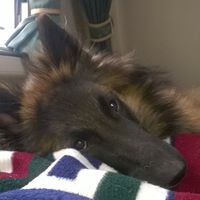 Louise Downing Photo 11