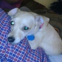 Jennifer Lindstrom Photo 13