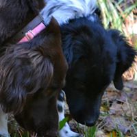 Elizabeth Frey Photo 14