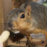 Cindy Bair Photo 19