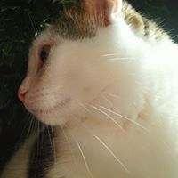 Lillian Short Photo 12