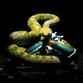 Robert Casteel Photo 21