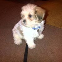 Julia Hayward Photo 17