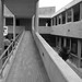 Rogelio Medellin Photo 7