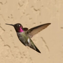 Kathy Murrell Photo 6