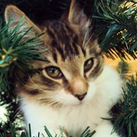 Susan Schroeter Photo 6