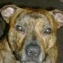 Larry Hendrickson Photo 36