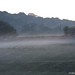 Misty Cornish Photo 11