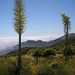 Barbara Sommers Photo 12