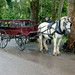 Kerry Sylvester Photo 9