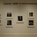 Diane Newcomb Photo 24