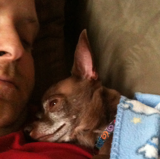 Matthew Bremer Photo 11