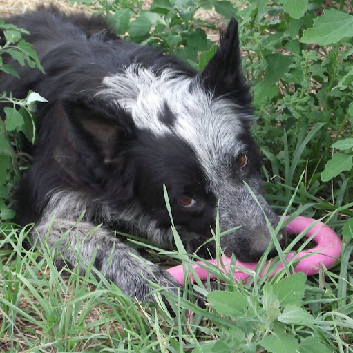 Jon Gilbertson Photo 2