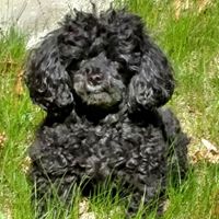 Shannon Berry Photo 34