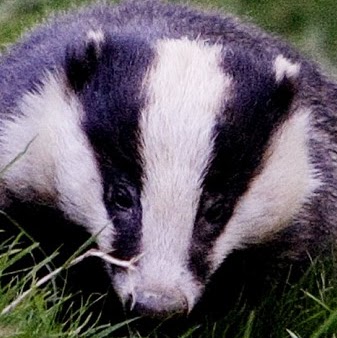 Roger Myers Photo 35