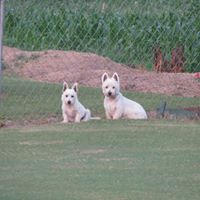 Candace Driver Photo 4