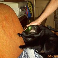 Vickie Lynch Photo 26