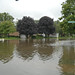 Carol Armstrong Photo 37