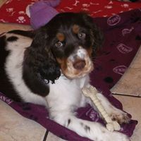 Julia Hastie Photo 2