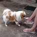 Leroy Brown Photo 30