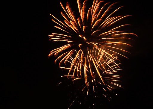 Lloyd Sutton Photo 12