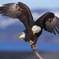 John Moses Photo 15 John Moses Photo 15