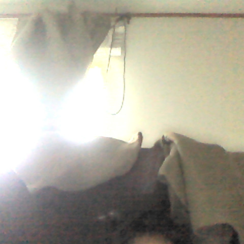 Gisselle Castro Photo 23