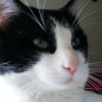 Rodney Barker Photo 22 Rodney Barker Photo 22