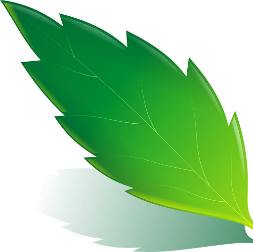 Michael Roland Photo 46 Michael Roland Photo 46