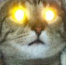 Maria Wright Photo 20