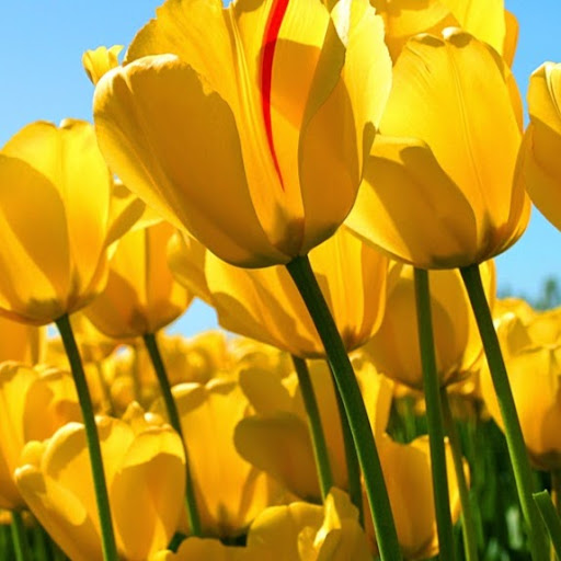 Phillip Daniel Photo 37