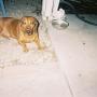 Susan Roth Photo 29
