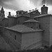 Miguel Alfaro Photo 9