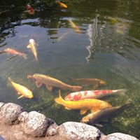 Wendy Jenkins Photo 27