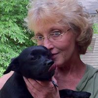 Debra Boyle Photo 9