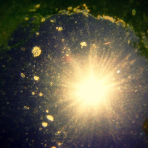 Michelle Walter Photo 16