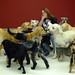 Cheryl Cooper Photo 39