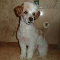 Gilda Acevedo Photo 7