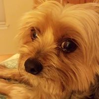 Nancy Benson Photo 16