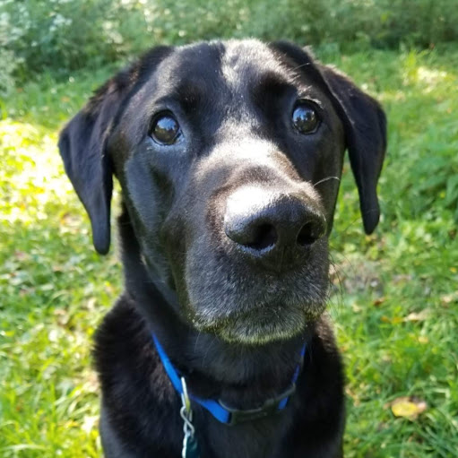 Sarah Morton Photo 49