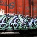 Janet Graff Photo 15