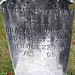 Carey Johnson Photo 32